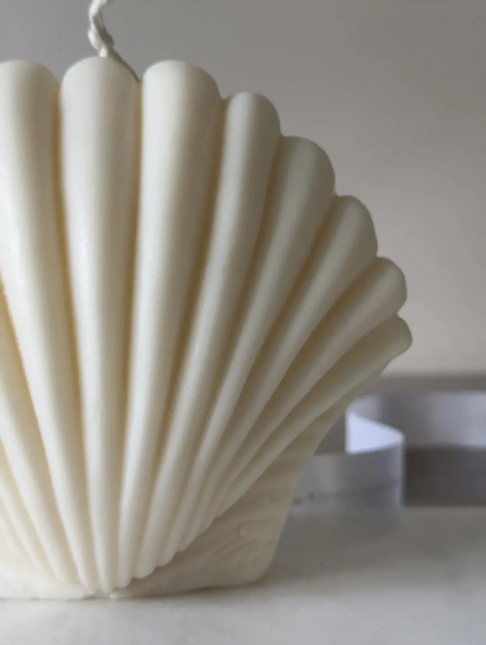 Shelly — изображение 2